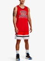 Koszulka męska Under Armour  Baseline Reversible Jsy-RED