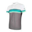 Koszulka rowerowa męska Sensor  Cyklo Summer Stripe Grey/Green