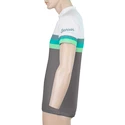 Koszulka rowerowa męska Sensor  Cyklo Summer Stripe Grey/Green