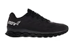 Męskie buty do biegania Inov-8  F-Lite Fly G 295 Black  UK 11,5