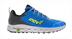 Męskie buty do biegania Inov-8  Parkclaw G 280 M (S) Blue/Grey  UK 11