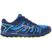 Męskie buty do biegania Inov-8 Trailfly 250 (s)   UK 10