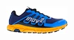 Męskie buty do biegania Inov-8 Trailfly G 270 V2 M (S) Blue/Nectar  UK 10,5