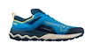 Męskie buty do biegania Mizuno Wave Ibuki 4 Cloisonné/Blue Opal/Moonstruck