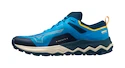 Męskie buty do biegania Mizuno Wave Ibuki 4 Cloisonné/Blue Opal/Moonstruck