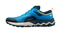 Męskie buty do biegania Mizuno Wave Ibuki 4 Cloisonné/Blue Opal/Moonstruck  UK 7