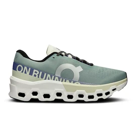 Męskie buty do biegania On Cloudmonster 2 Mineral/Aloe