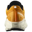 Męskie buty do biegania Salomon Aero Glide 3 Turmeric/White/Black