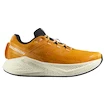 Męskie buty do biegania Salomon Aero Glide 3 Turmeric/White/Black