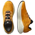 Męskie buty do biegania Salomon Aero Glide 3 Turmeric/White/Black