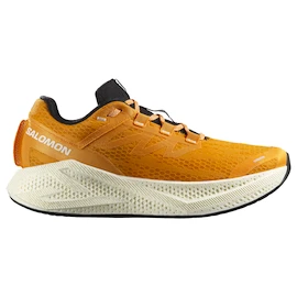 Męskie buty do biegania Salomon Aero Glide 3 Turmeric/White/Black