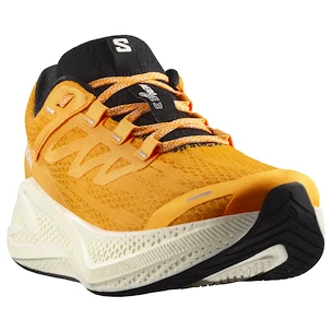 Męskie buty do biegania Salomon Aero Glide 3 Turmeric/White/Black