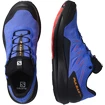 Męskie buty do biegania Salomon Pulsar Trail GTX Dazzling Blue