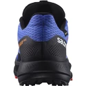 Męskie buty do biegania Salomon Pulsar Trail GTX Dazzling Blue