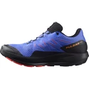 Męskie buty do biegania Salomon Pulsar Trail GTX Dazzling Blue