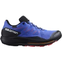 Męskie buty do biegania Salomon Pulsar Trail GTX Dazzling Blue