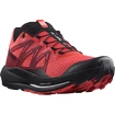 Męskie buty do biegania Salomon Pulsar Trail Poppy Red/Biking Red