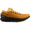 Męskie buty do biegania Salomon Pulsar Trail Pro Marmalade