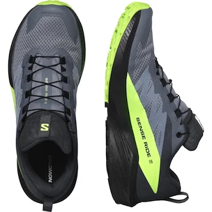 Męskie buty do biegania Salomon Sense Ride 5 GTX Flint/Black/Grgeck