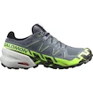 Męskie buty do biegania Salomon Speedcross 6 Gtx Flint/Grgeck/Black  UK 9,5