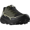 Męskie buty do biegania Salomon Thundercross  Gore-Tex Olive Night/Black/Alfalfa