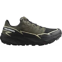 Męskie buty do biegania Salomon Thundercross  Gore-Tex Olive Night/Black/Alfalfa