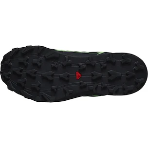 Męskie buty do biegania Salomon Thundercross  GTX Black/Grgeck/Black  UK 12,5