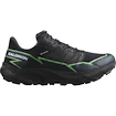 Męskie buty do biegania Salomon Thundercross  GTX Black/Grgeck/Black  UK 12,5