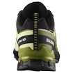 Męskie buty do biegania Salomon Xa Pro 3D V9 GTX Black/Lime Cream/Dark Citron