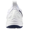 Męskie buty gimnastyczne Mizuno  Wave MOMENTUM 3 White/Bellwether Blue