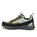 Męskie buty outdoorowe Hanwag Rotpunkt Light Low GTX Deep Olive/Light Olive