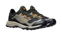 Męskie buty outdoorowe Keen Tempo Flex Wp Vetiver/Desert Sun