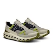 Męskie buty outdoorowe On Cloudhorizon  Chalk/Seedling