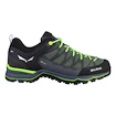 Męskie buty outdoorowe Salewa  MS MTN Trainer Lite Gtx Myrtle/Ombre Blue