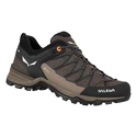 Męskie buty outdoorowe Salewa  MS MTN Trainer Lite Gtx  Wallnut/Fluo Orange