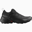 Męskie buty outdoorowe Salomon  CROSS HIKE GTX 2