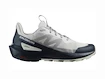 Męskie buty outdoorowe Salomon  ELIXIR ACTIV Glacier Gray/Carbon/Slate Green  UK 11,5