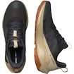 Męskie buty outdoorowe Salomon Elixir Activ Gore-Tex Phantom/Safari/Caramel Cafe