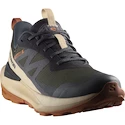 Męskie buty outdoorowe Salomon Elixir Activ Gore-Tex Phantom/Safari/Caramel Cafe