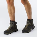 Męskie buty outdoorowe Salomon Quest 4 Gore-Tex Olive Night/Peat/Safari