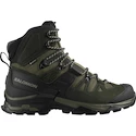 Męskie buty outdoorowe Salomon Quest 4 Gore-Tex Olive Night/Peat/Safari