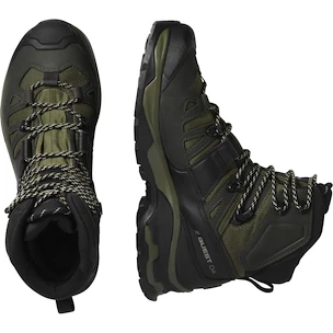 Męskie buty outdoorowe Salomon Quest 4 Gore-Tex Olive Night/Peat/Safari  UK 8,5