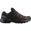 Męskie buty outdoorowe Salomon X Ultra 360 Leather Gore-Tex Dark Earth/Delicioso/Sharkskin