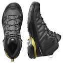 Męskie buty outdoorowe Salomon X Ultra 360 MID Gore-Tex Castlerock/Black/Spicy Mustard