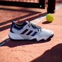 Męskie buty tenisowe adidas  Solematch Control 2 Clay Halo Blue