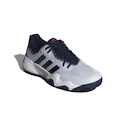 Męskie buty tenisowe adidas  Solematch Control 2 Clay Halo Blue