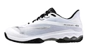 Męskie buty tenisowe Mizuno Wave Exceed LIGHT 2 CC White/Metallic Gray/Black