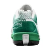 Męskie buty tenisowe Wilson Rush Pro 4.0 Clay White/Green