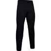 Męskie spodnie dresowe Under Armour  Flex Pant Black