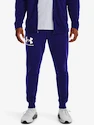 Męskie spodnie dresowe Under Armour  RIVAL TERRY JOGGER-BLU